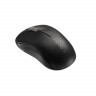 Мышь беспроводная Rapoo 6010B, Black