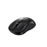 Мышь беспроводная Rapoo 6010B, Black