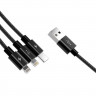 Кабель USB Orico Lightning*2 + Type-C Data Cable, black 1.2м